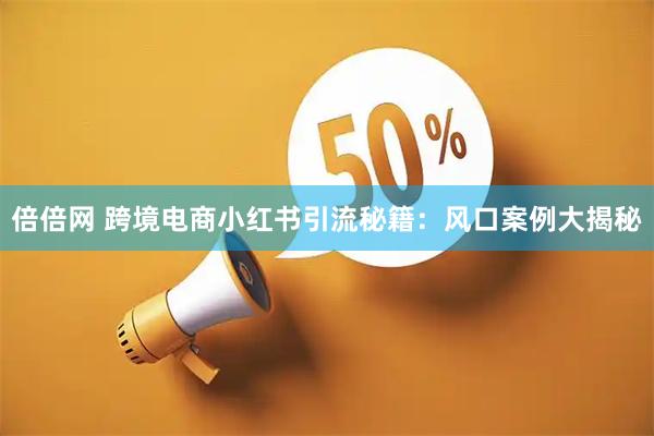 倍倍网 跨境电商小红书引流秘籍：风口案例大揭秘