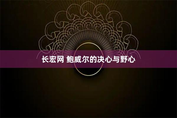 长宏网 鲍威尔的决心与野心