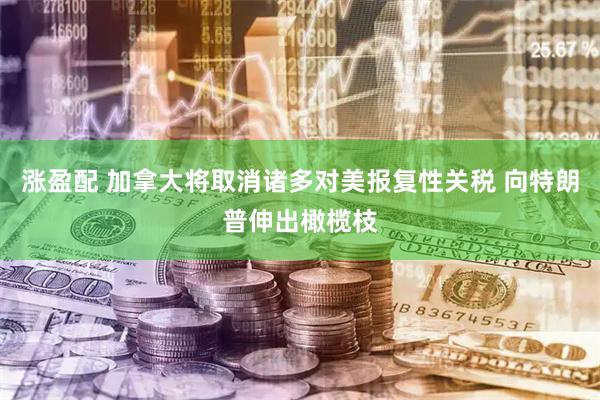 涨盈配 加拿大将取消诸多对美报复性关税 向特朗普伸出橄榄枝