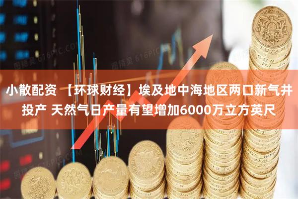 小散配资 【环球财经】埃及地中海地区两口新气井投产 天然气日产量有望增加6000万立方英尺