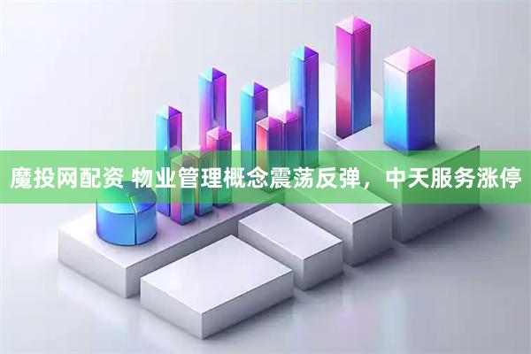 魔投网配资 物业管理概念震荡反弹，中天服务涨停