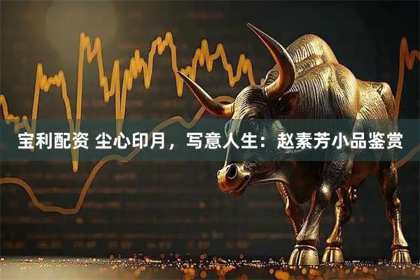 宝利配资 尘心印月，写意人生：赵素芳小品鉴赏